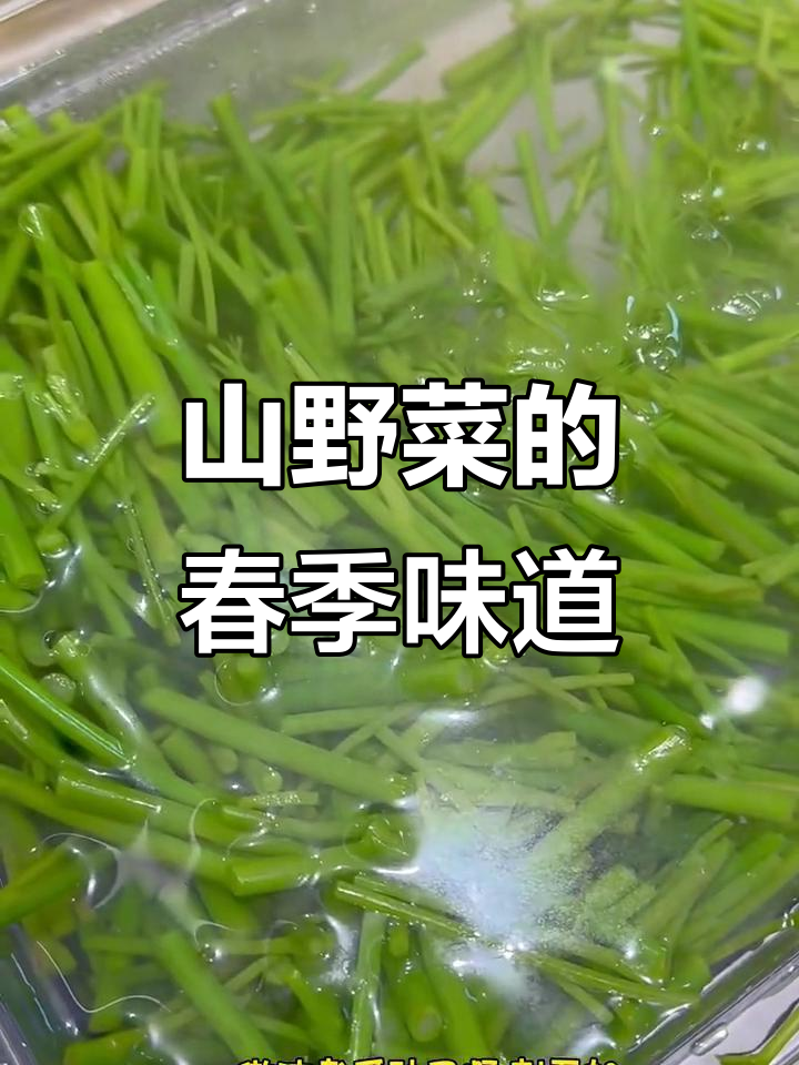 春天山野菜大赏,香椿、小根菜都能炒出美味
