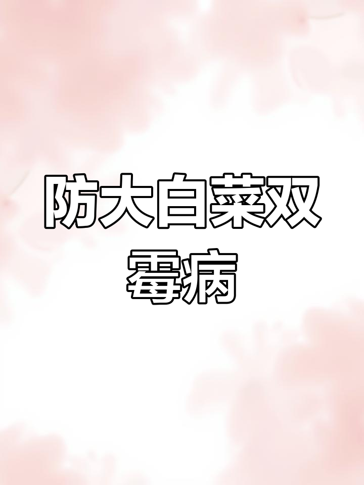 大白菜霜霉病防治全攻略,三大措施助你应对病害