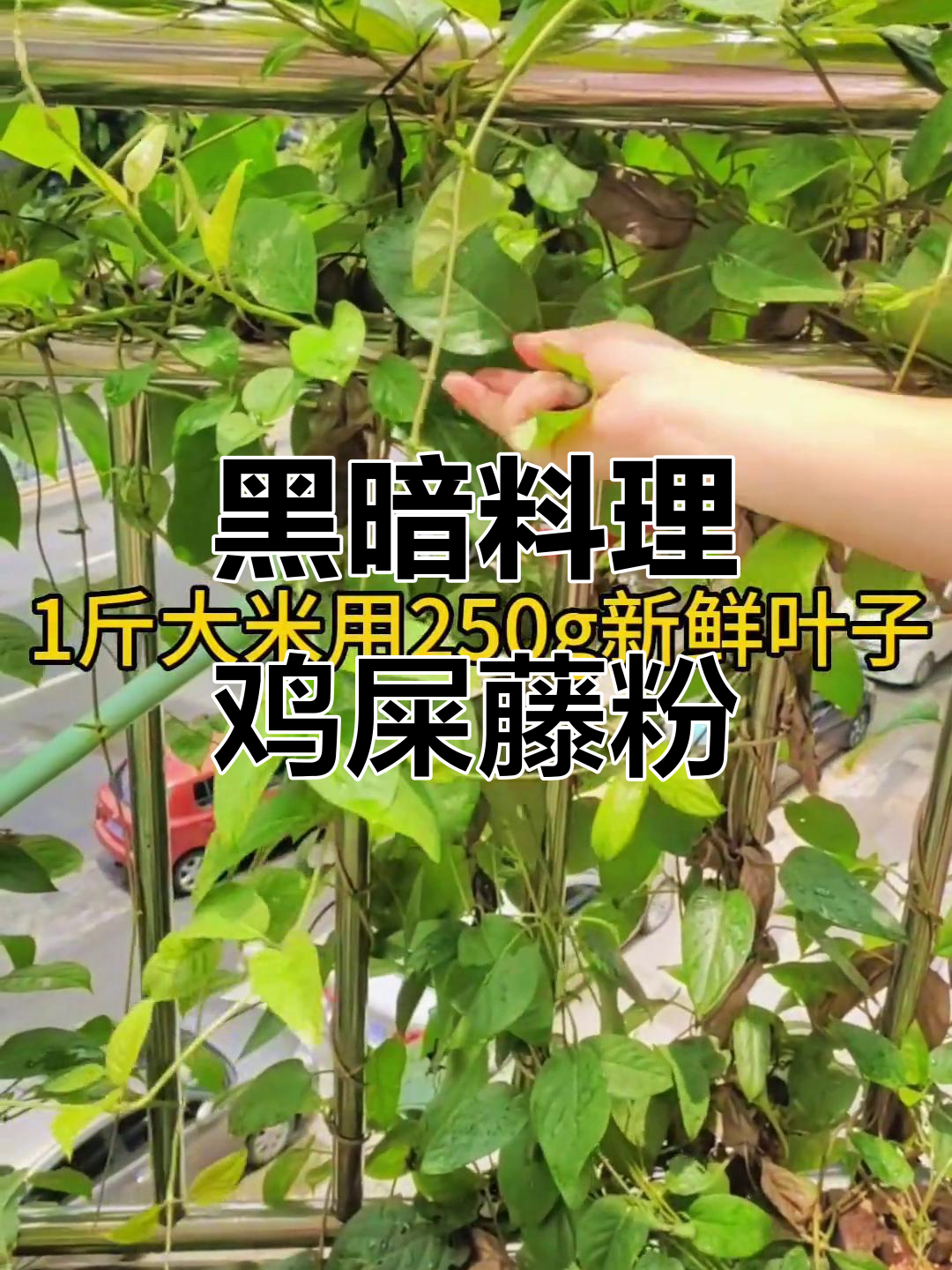 闻起来臭，但吃起来超舒服的鸡屎藤粉，南宁特色糖水