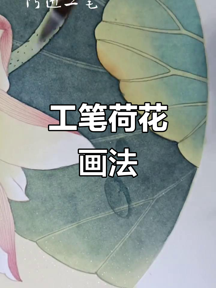 工笔画荷花技巧:从水滴到高光的完美呈现