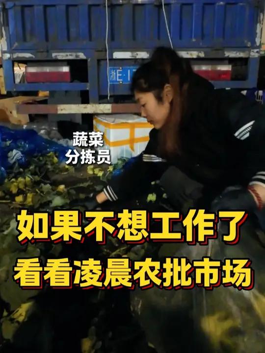如果不想工作了,看看凌晨的农批市场,蔬菜分拣员聊聊关于她的事