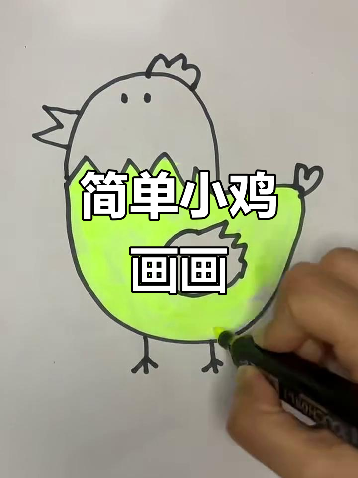 小鸡简笔画教程,轻松学会画萌趣小鸡