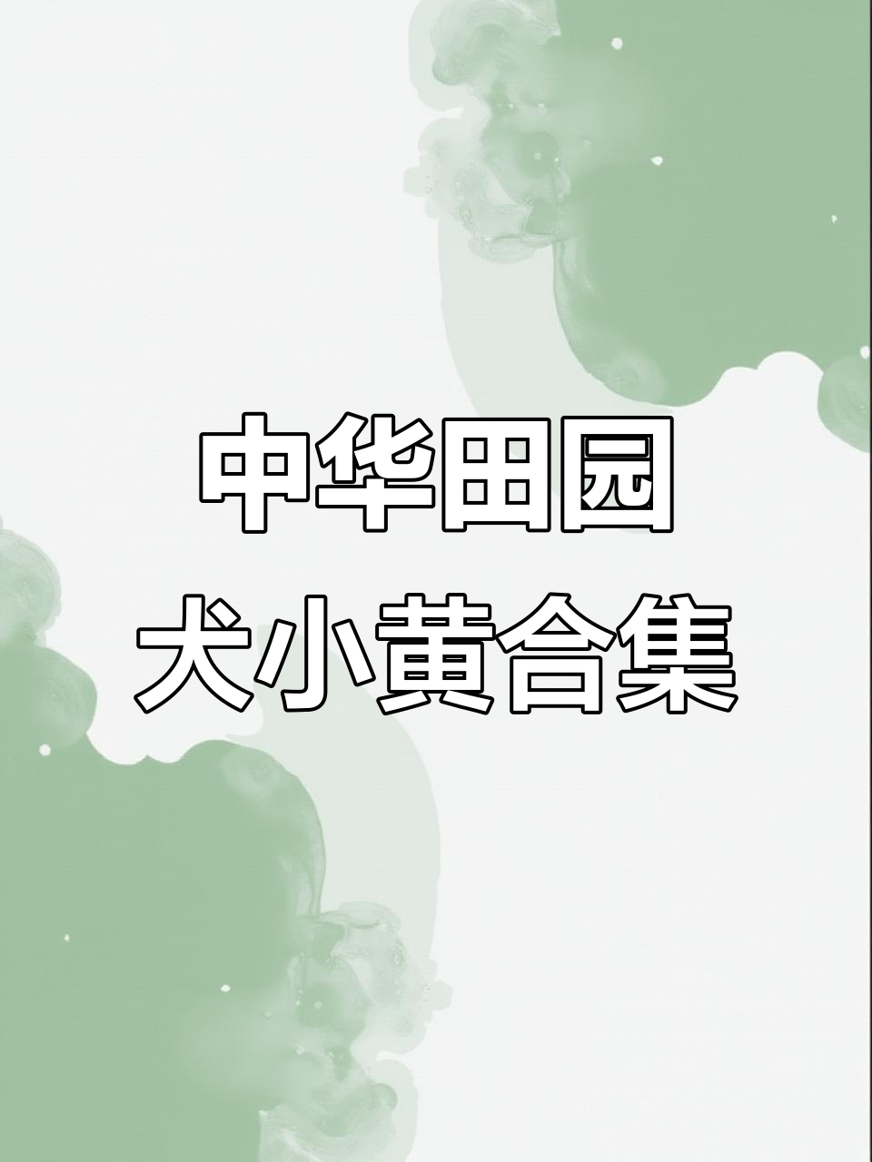 小黄狗的微笑,太可爱了!谁家还没这么个小宝贝?