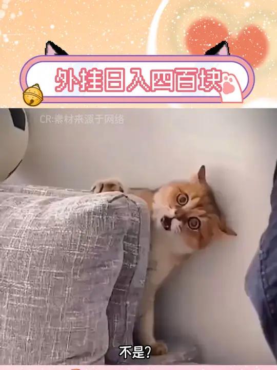 不是?外挂日入四百块!danking 游戏 手游