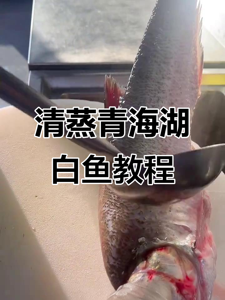 青海湖大白鱼清蒸技巧大揭秘,去腥步骤全解析