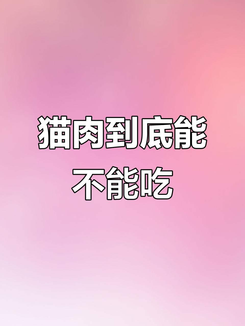 猫肉能吃吗?营养价值高,但风险也不小