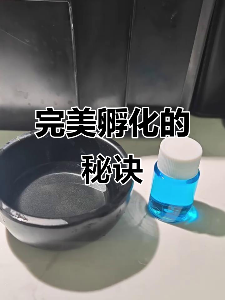 观背青鳉孵化全攻略:从温度到技巧,轻松搞定!