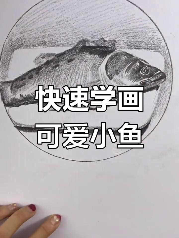 一分钟学会画鱼,掌握素描技巧