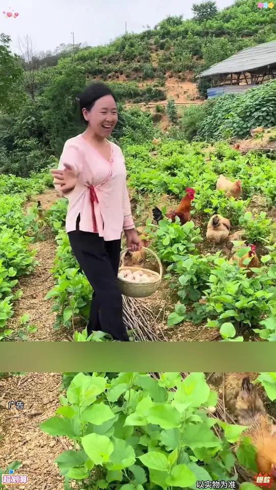 50枚精品山林散养土鸡蛋农家笨鸡蛋单枚45±5克净重2050克新鲜鸡蛋