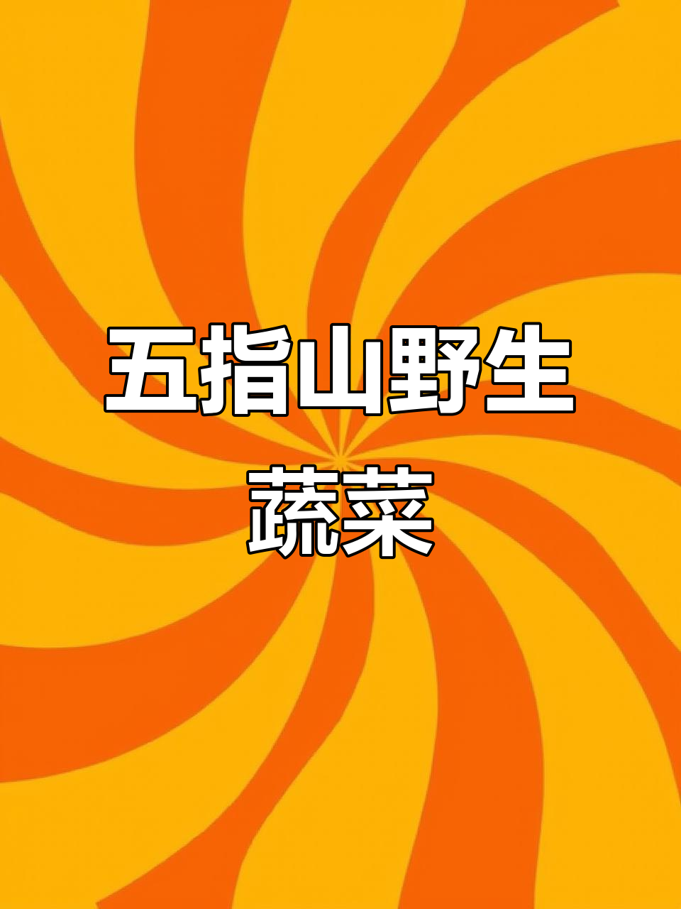 源自五指山的健康食材,树仔菜带你从土地到餐桌