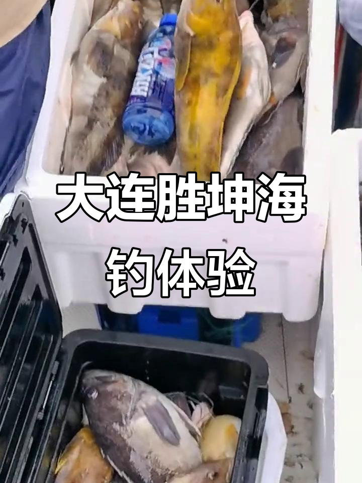 11月大连海钓之旅,收获满满保温箱与美味鱿鱼肠