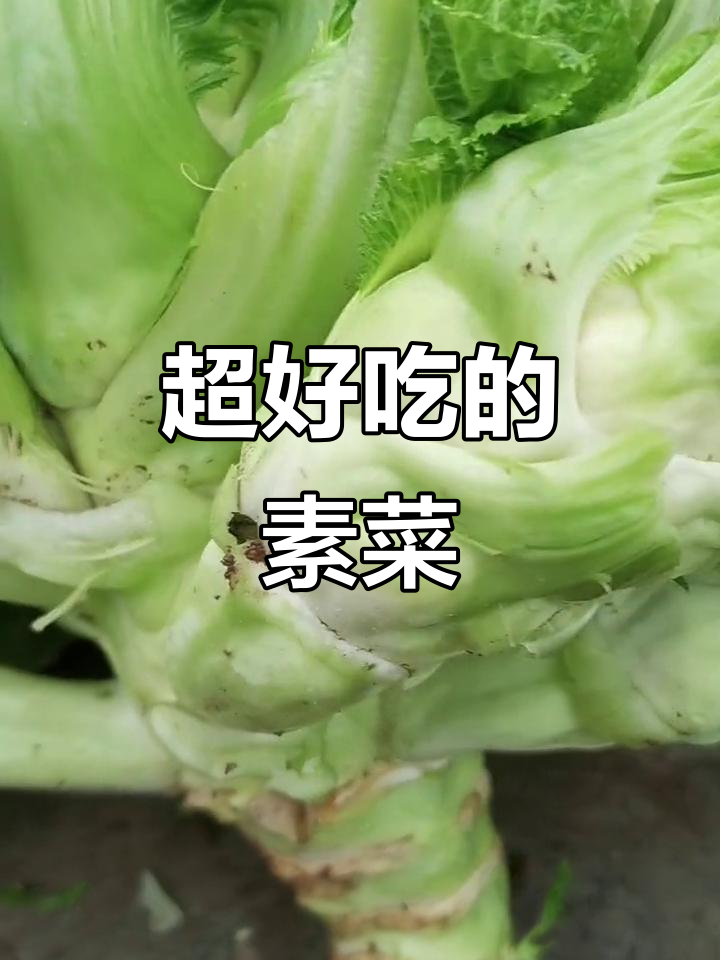 四川特色儿菜,素炒比肉香,家常下饭新吃法