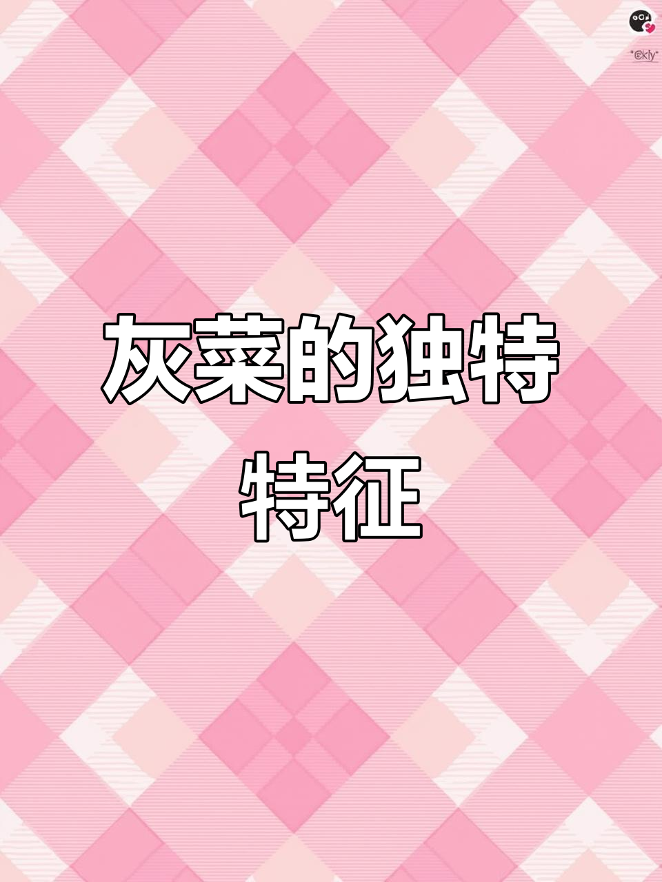 灰菜叶片背面紫红,小芽也是紫色,与普通灰菜明显不同