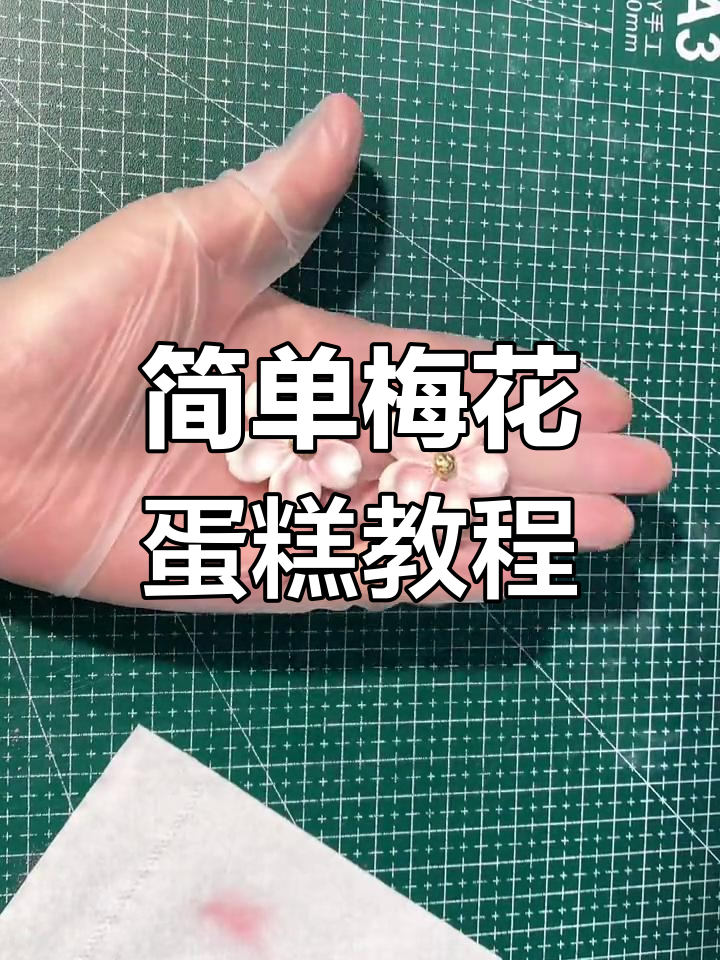 轻松学会的梅花蛋糕,带你走进烘焙的世界