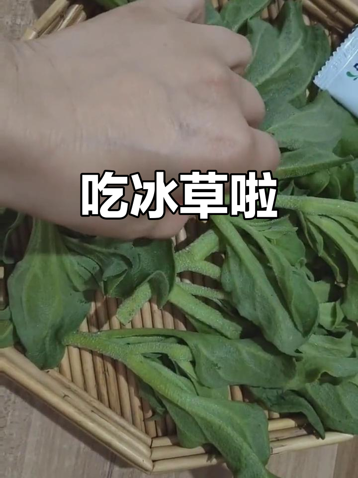 新鲜冰草凉拌,沙拉酱配起来更美味!