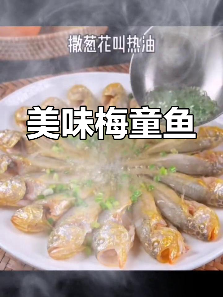 梅童鱼肉质鲜美,泥涂捕获更佳,堪比大黄鱼
