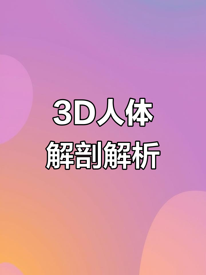 3D人体解剖：全面了解骨骼、肌肉与器官结构