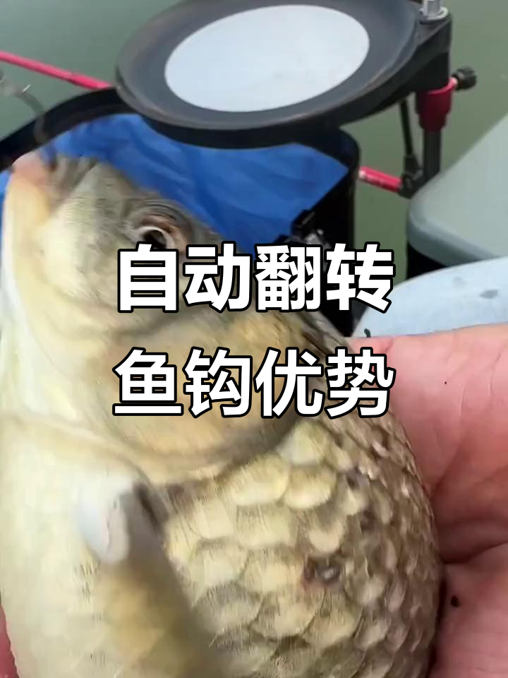 自动翻转鱼钩,轻松抓口不吐出