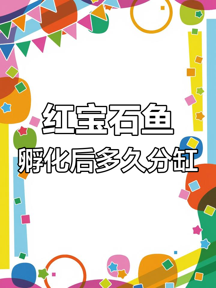 红宝石鱼产卵后如何分缸?最佳时机揭秘