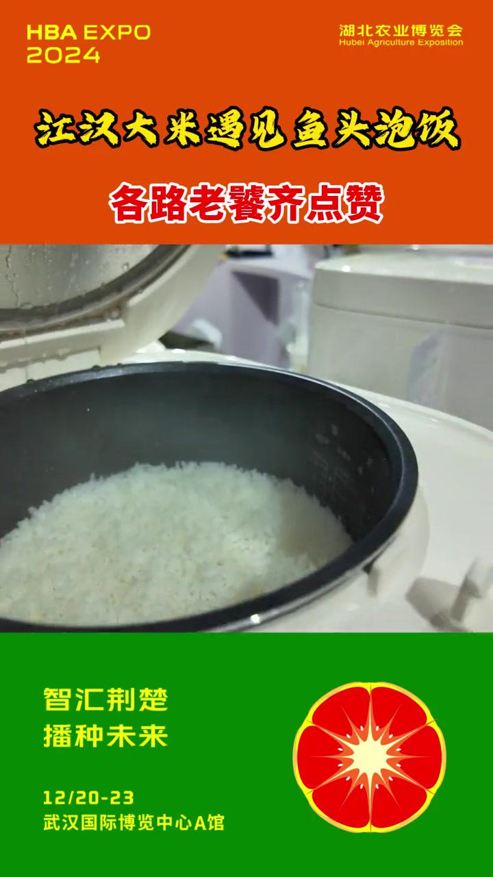 江汉大米遇见鱼头泡饭,各路老饕齐点赞!