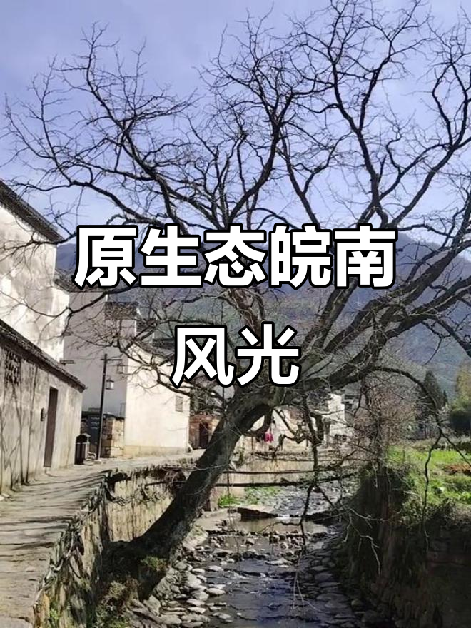 古村落与田园交织,徽派建筑静谧如画