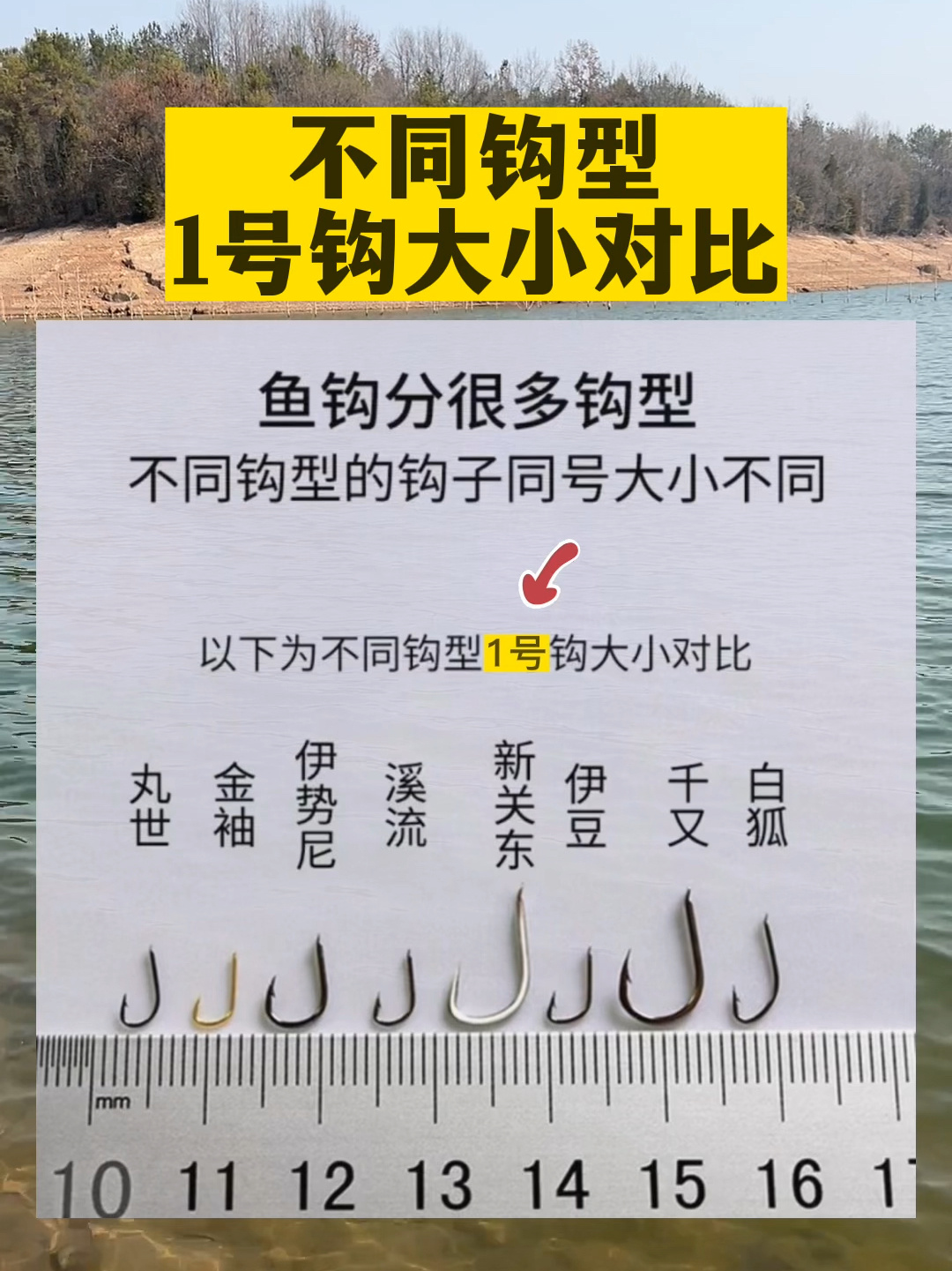 鱼钩不同钩型1号钩大小对比