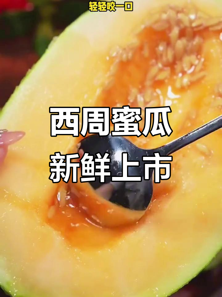 海南西洲蜜瓜,甜脆多汁,孩子最爱!