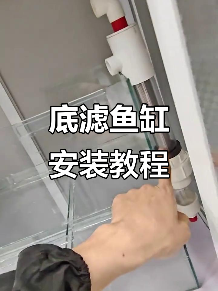 底滤鱼缸安装技巧:如何正确放置过滤器和马桶