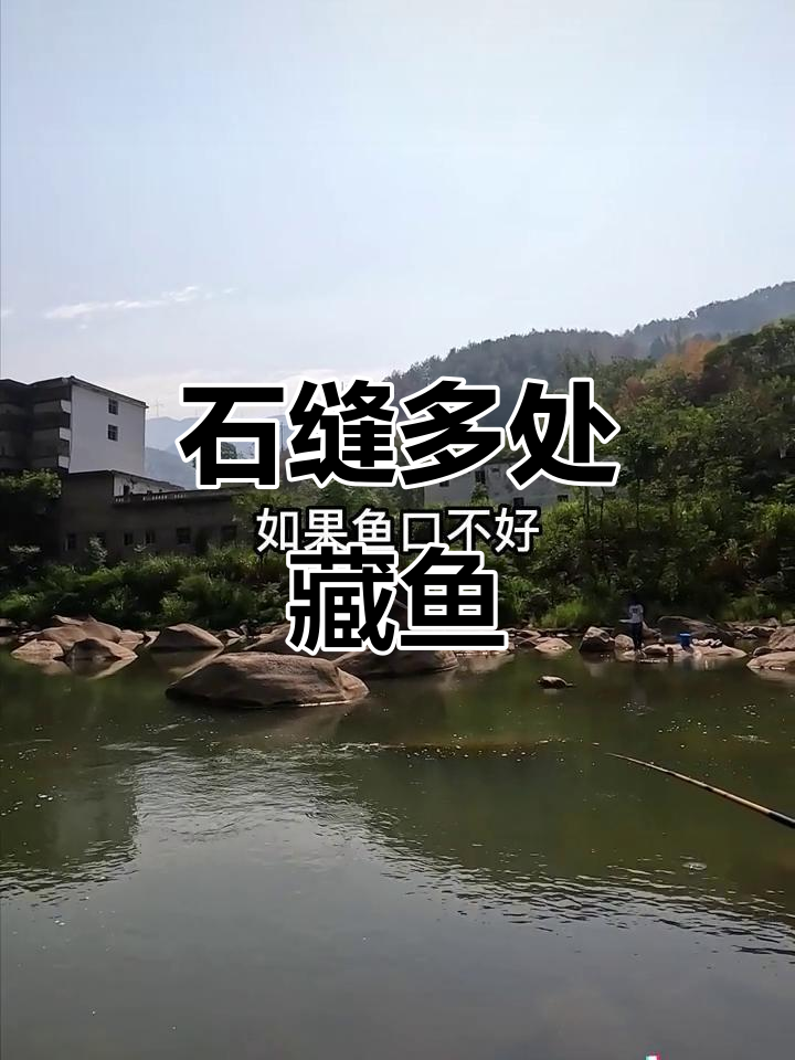 溪流钓大石斑，选对位置轻松抓