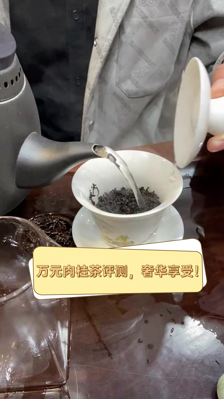 万元肉桂茶评测，奢华享受！