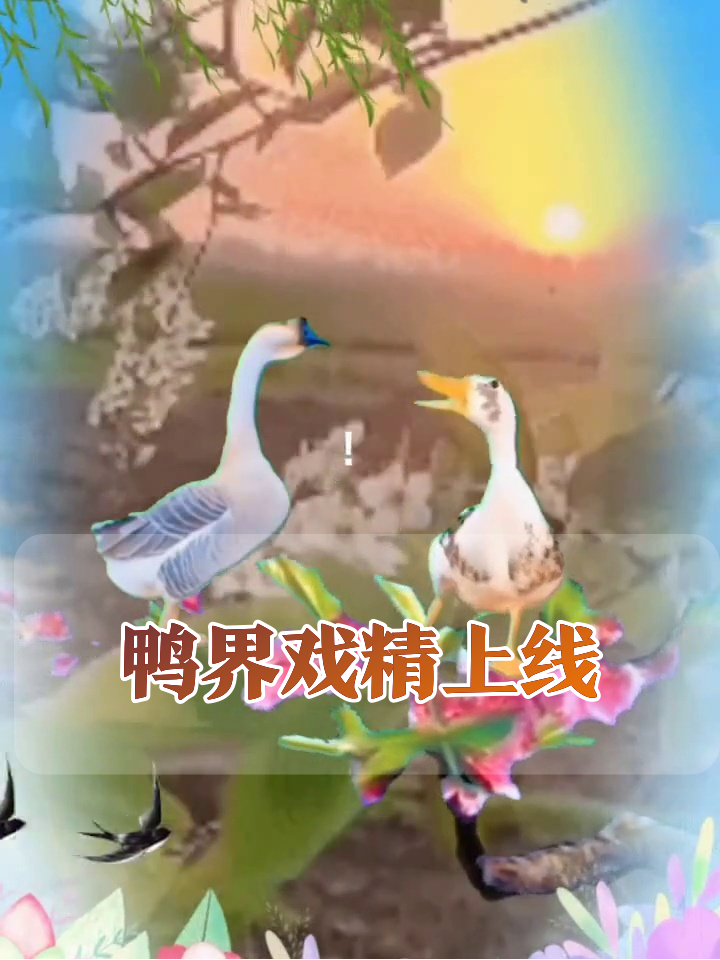 鸭子站花丛中吵架,背景美得像P图,网友:这是禽圈顶流吧
