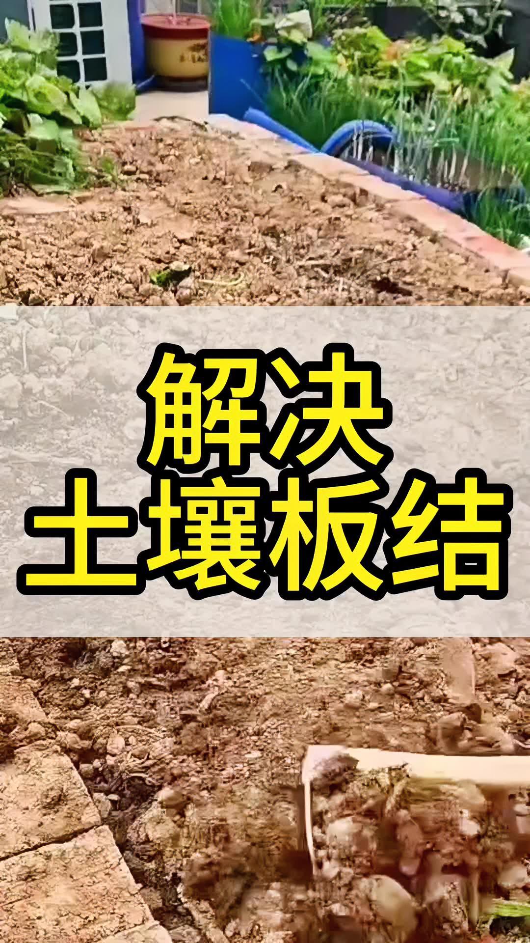 土壤板结 土壤板结的改良方法 泥土板结解决方法 关注我一起学种菜 种植小技巧