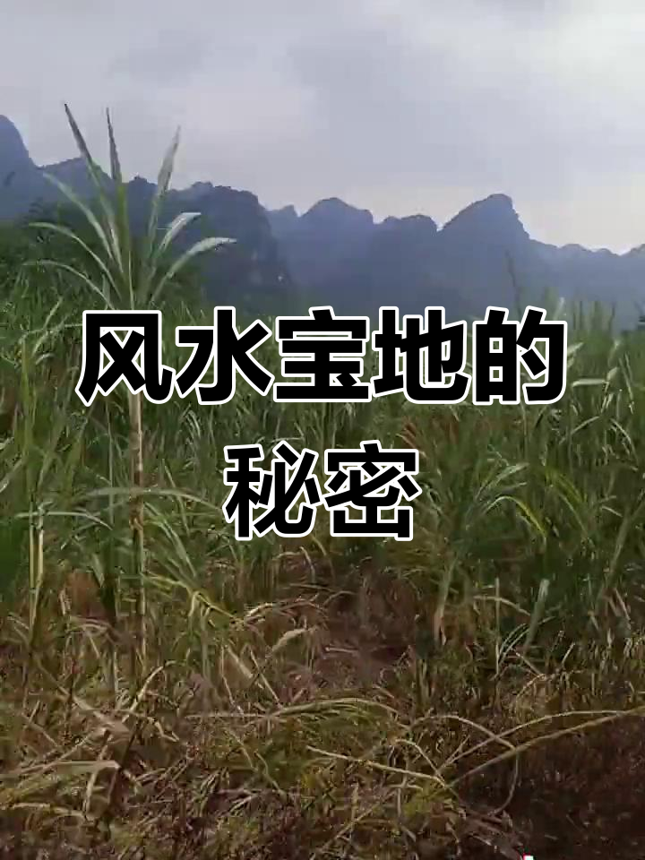 九朵莲花共一塘,风水宝地传说