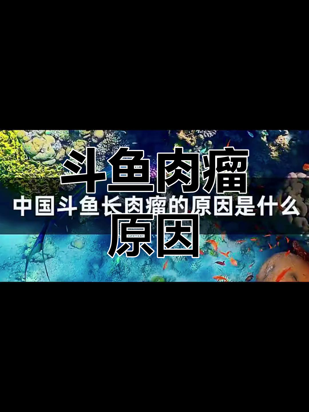 斗鱼肉瘤成因分析