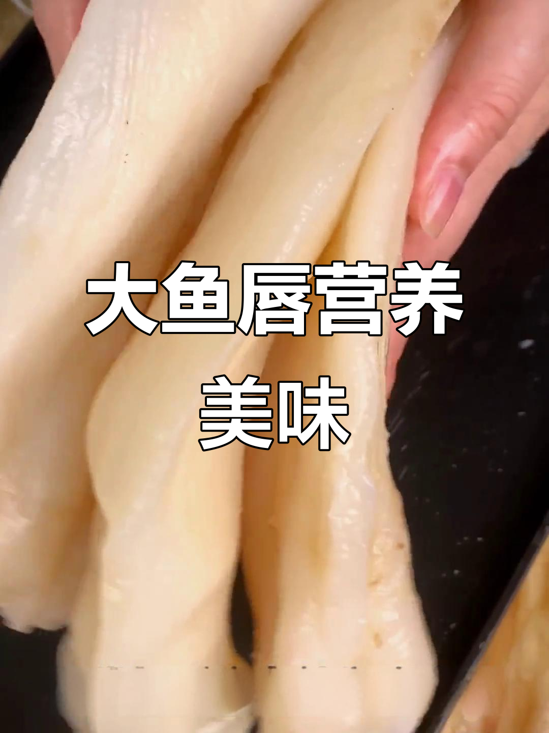 鱼唇与花胶齐名,煲汤炖粥炒菜焖肉一应俱全