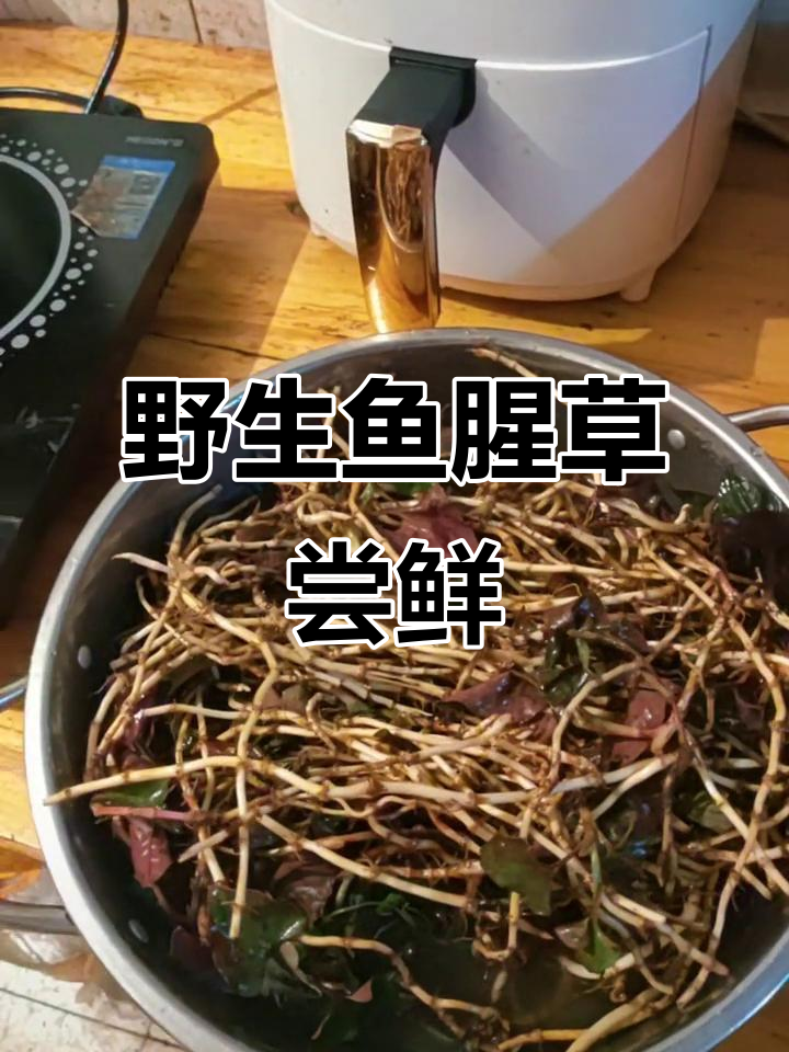 贵阳特产折耳根,野生的比种植的更美味!