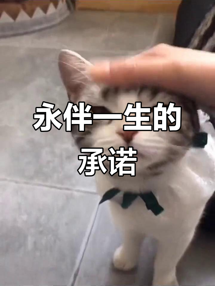 王泡芙与福妈宣誓,永远陪伴彼此