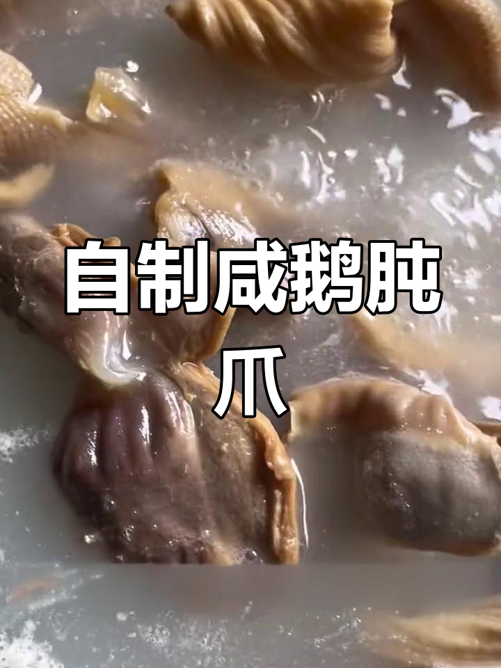 家乡特产咸鹅肫爪的独特做法