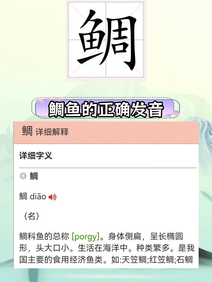 鲷鱼读音揭秘:究竟怎么读?