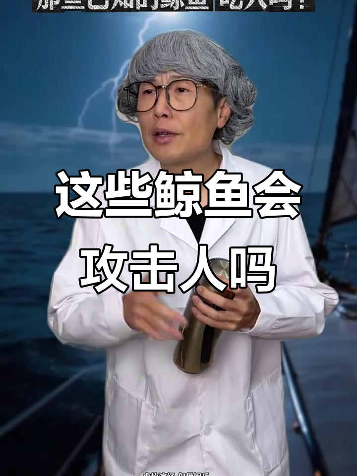 鲸鱼吃不吃人?这些已知的巨型海洋生物真相揭秘