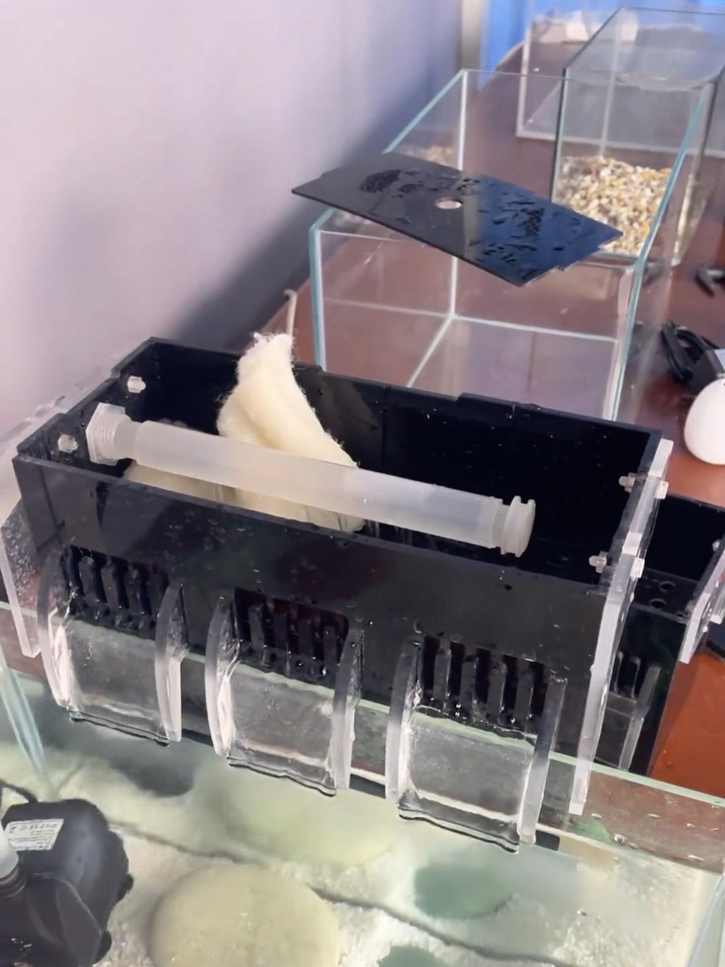怎么选鱼缸过滤器 鱼缸过滤 过滤系统 养鱼日记 水族