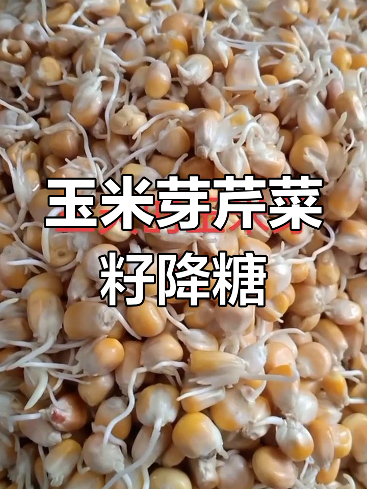 玉米芽与芹菜籽粉,降糖效果惊人!