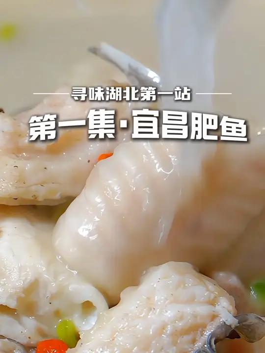 据说湖北人是宇宙做鱼的天花板,鲜美的 宜昌肥鱼你吃过了吗?寻味湖北 第一站第一集 宜昌肥鱼