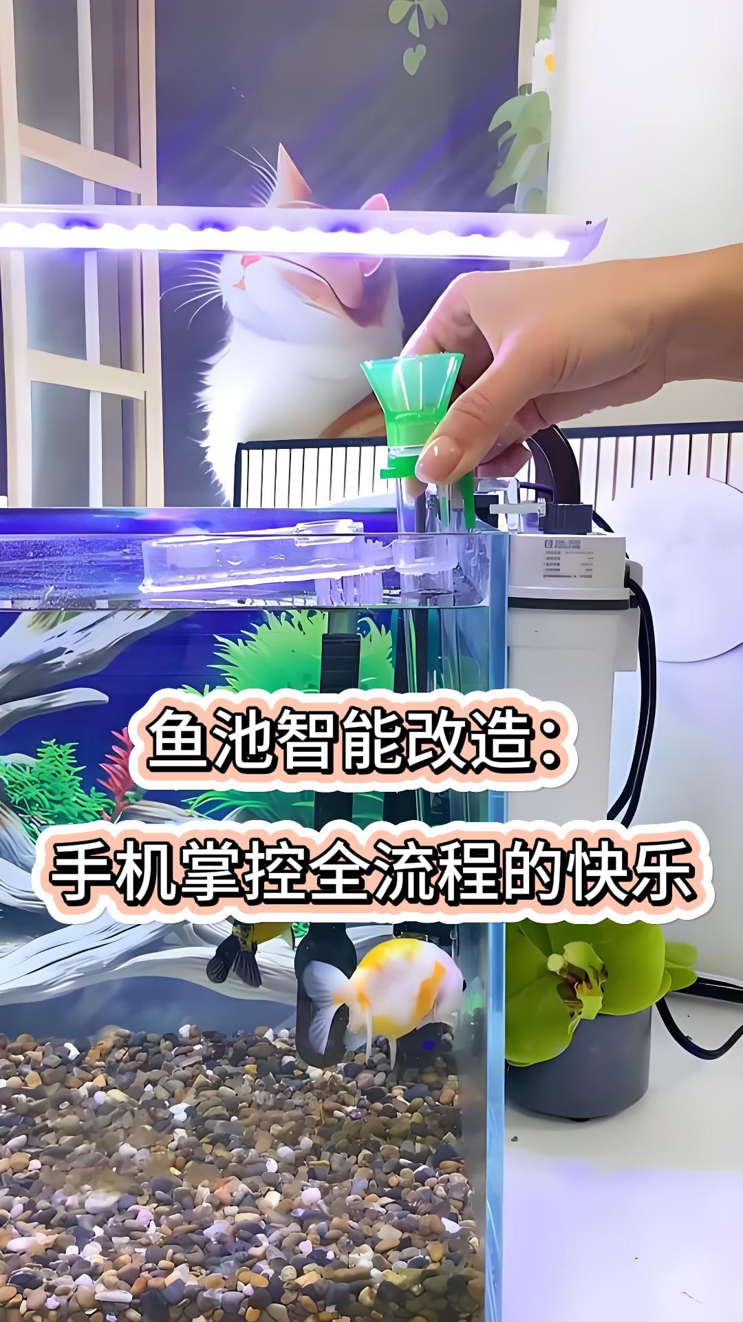 鱼池智能改造:手机掌控全流程的快乐