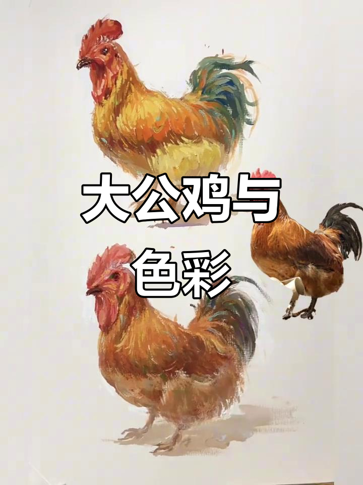 色彩静物画大公鸡，谁家的好人能喜欢？