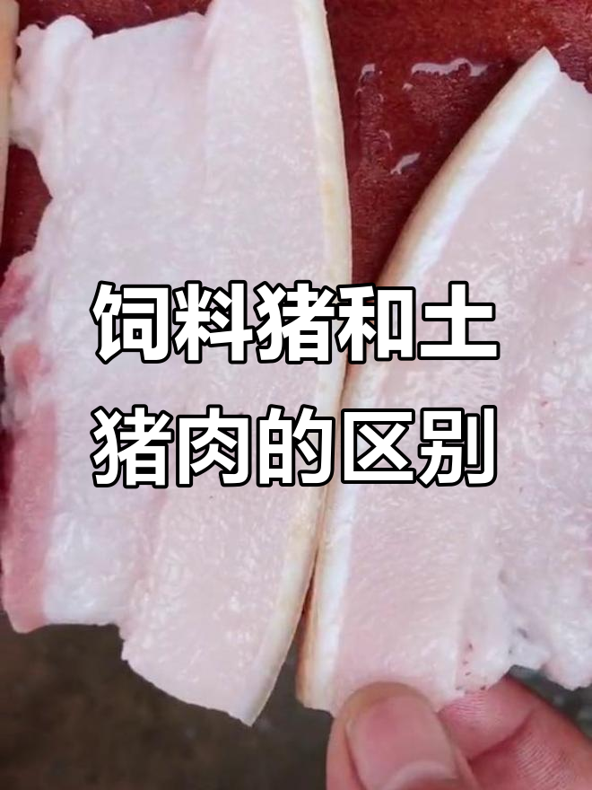 饲料猪与农村土猪肉的口感差异,营养价值大不同
