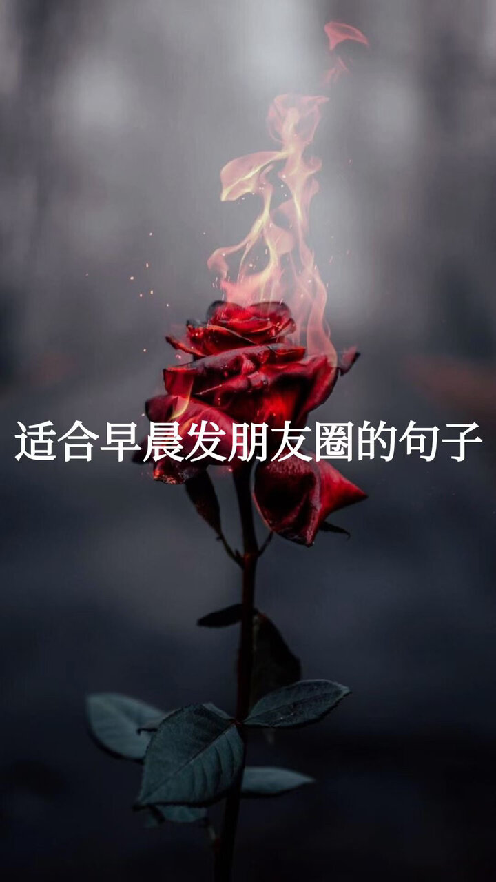 感情文字控 图片文字控 人生感悟