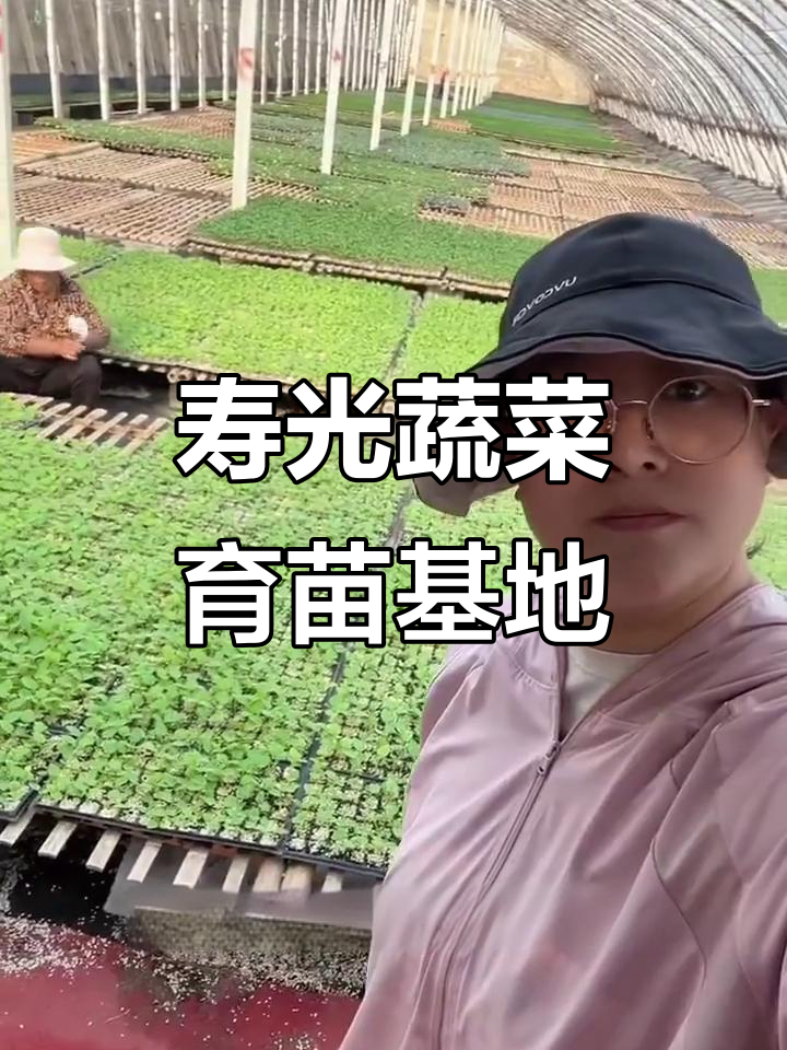 寿光蔬菜育苗基地