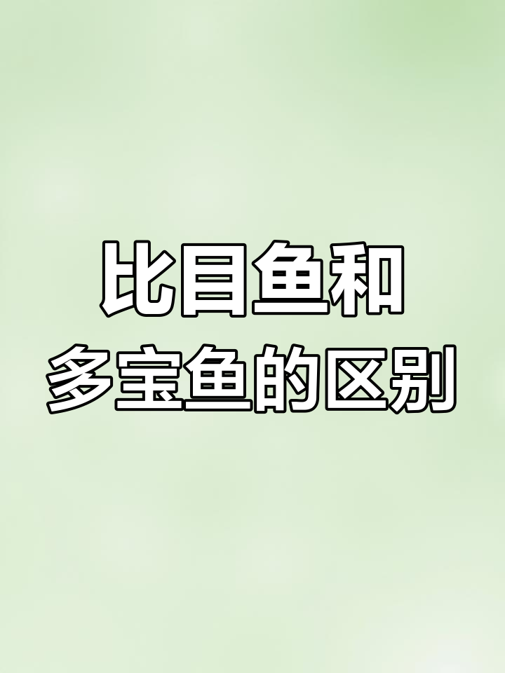 比目鱼与多宝鱼的四大区别