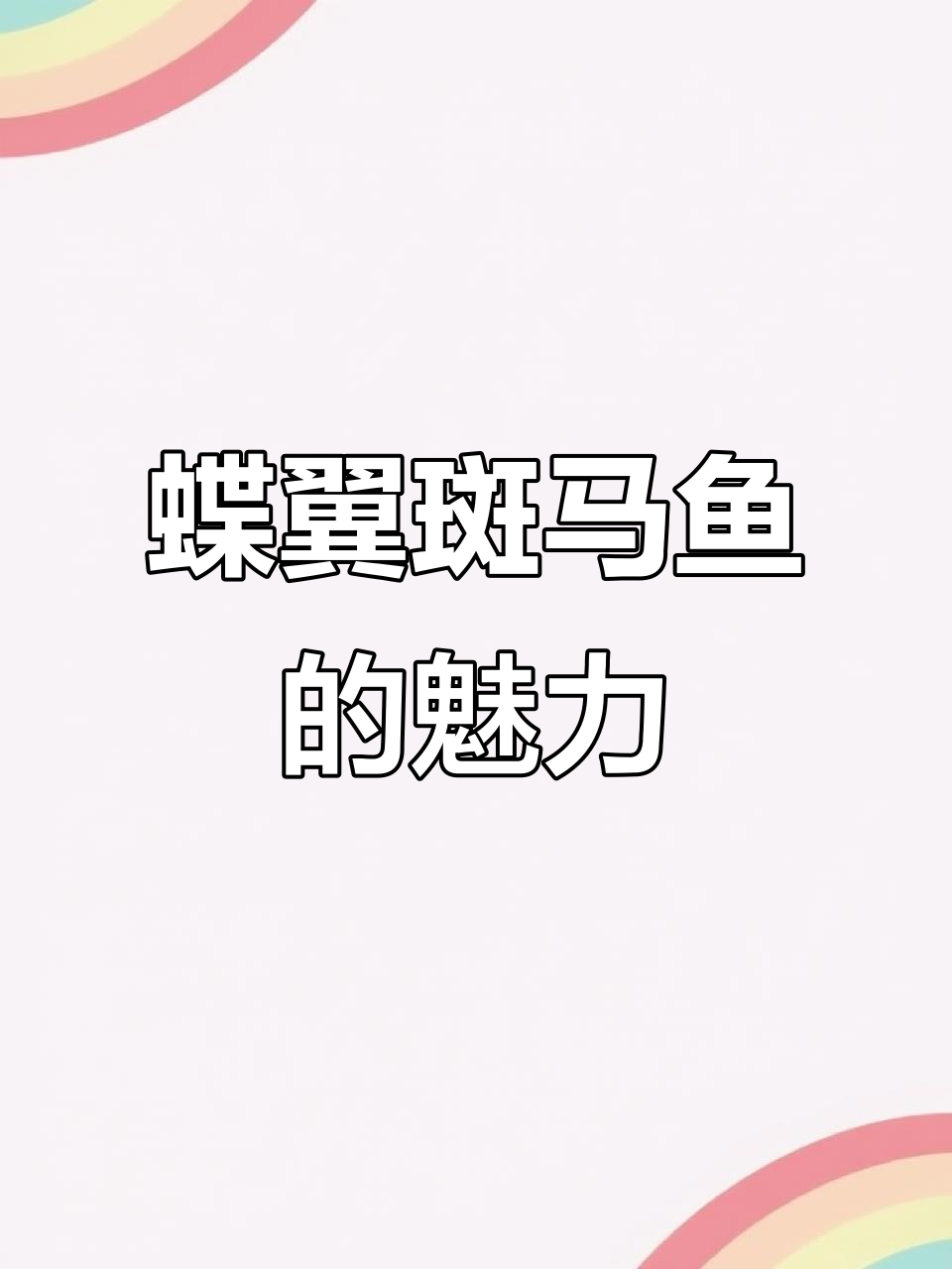 蝶翼斑马鱼:美丽优雅,养护简单,观赏性极强